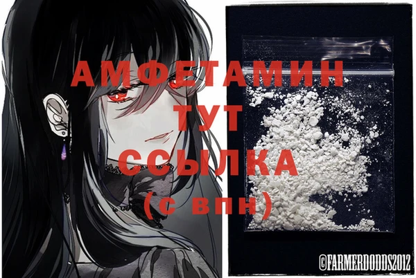 spice Алексин